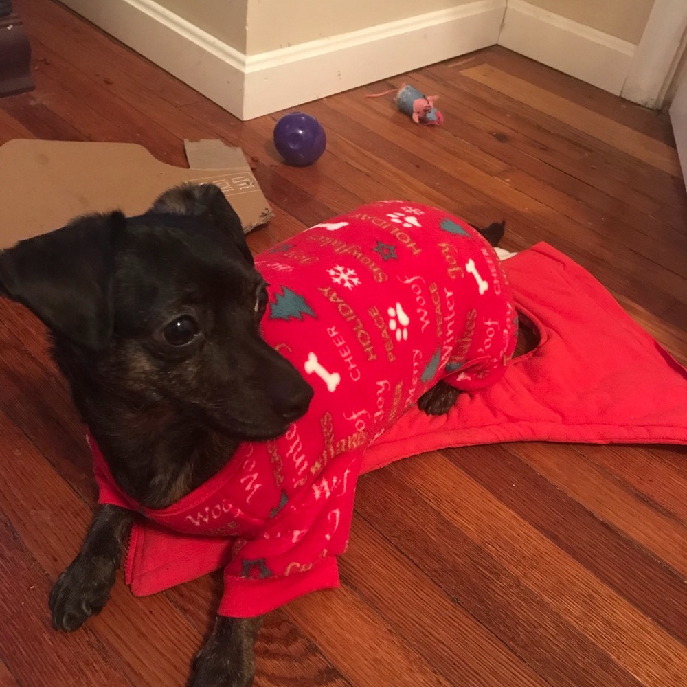 Meet your Posher, Jordan